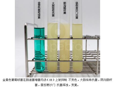 腸道菌增菌肉湯管